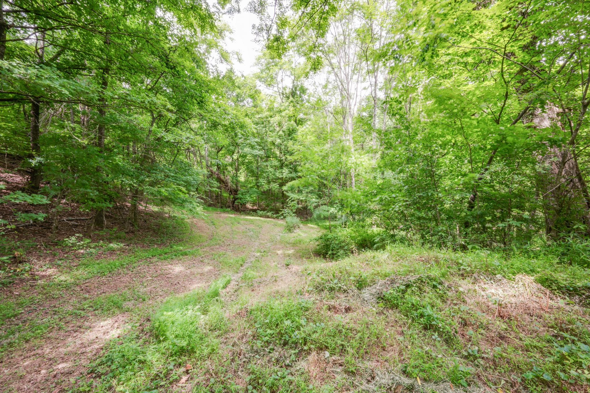 3290 Foster Chapel Road Columbia, TN 38401 - Photo 43 of 44 Gallery Image 43