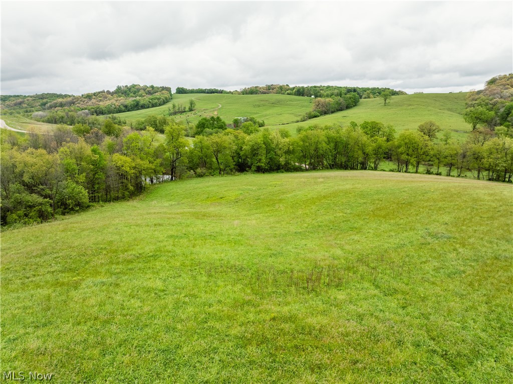 Timmerman Road Bowerston, OH 44695 - Photo 21 of 26