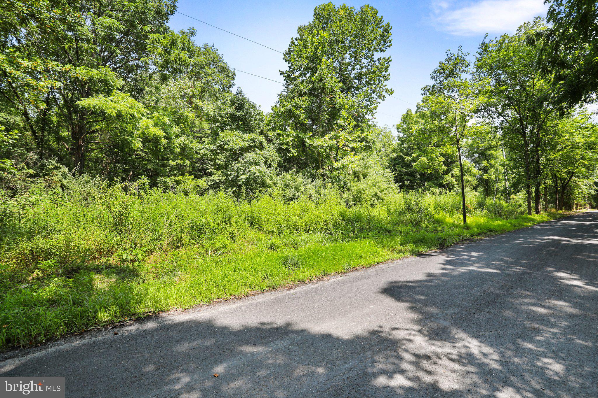 Artz Road Woodstock, VA 22664 - Photo 11 of 38