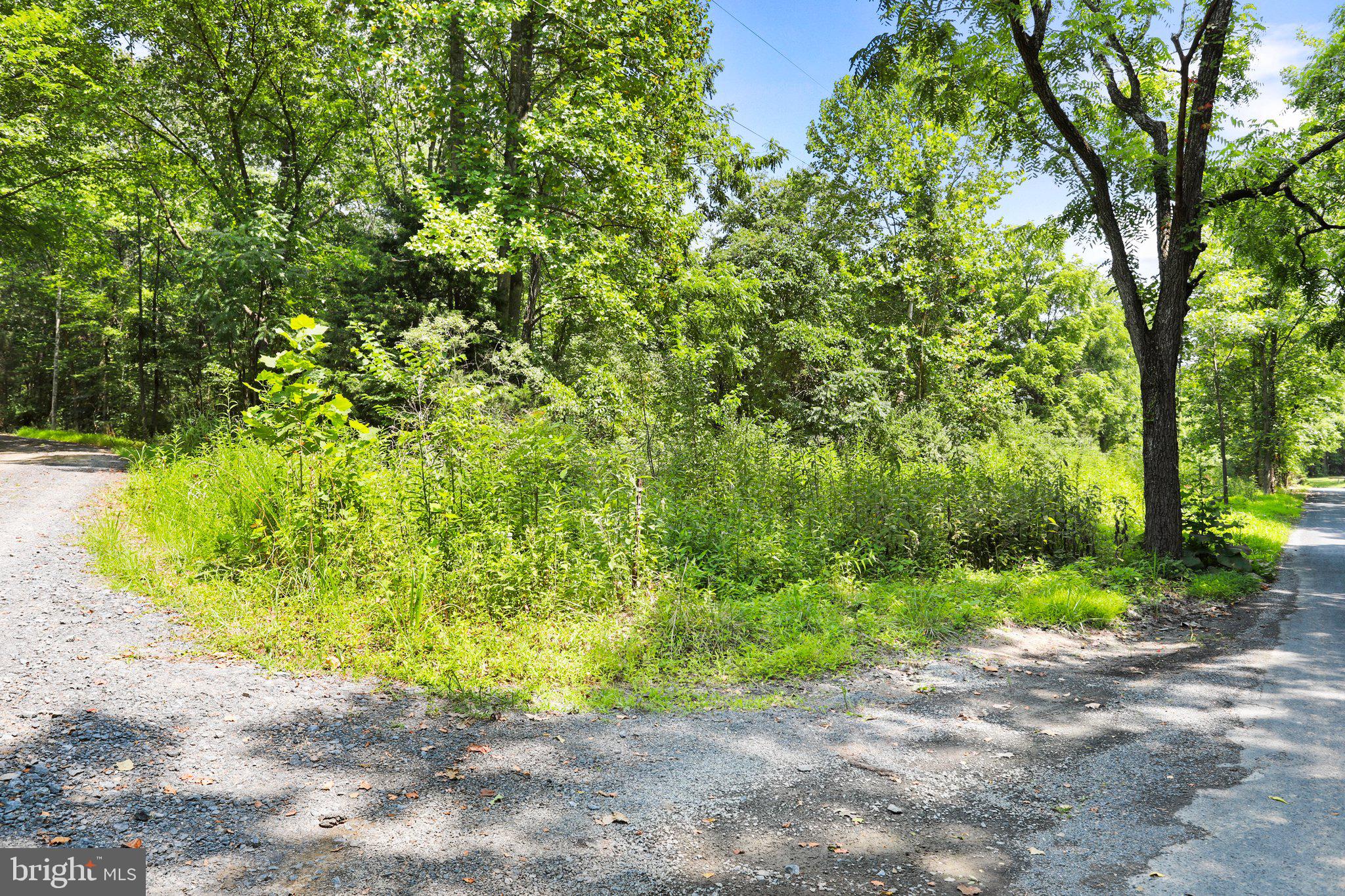 Artz Road Woodstock, VA 22664 - Photo 12 of 38