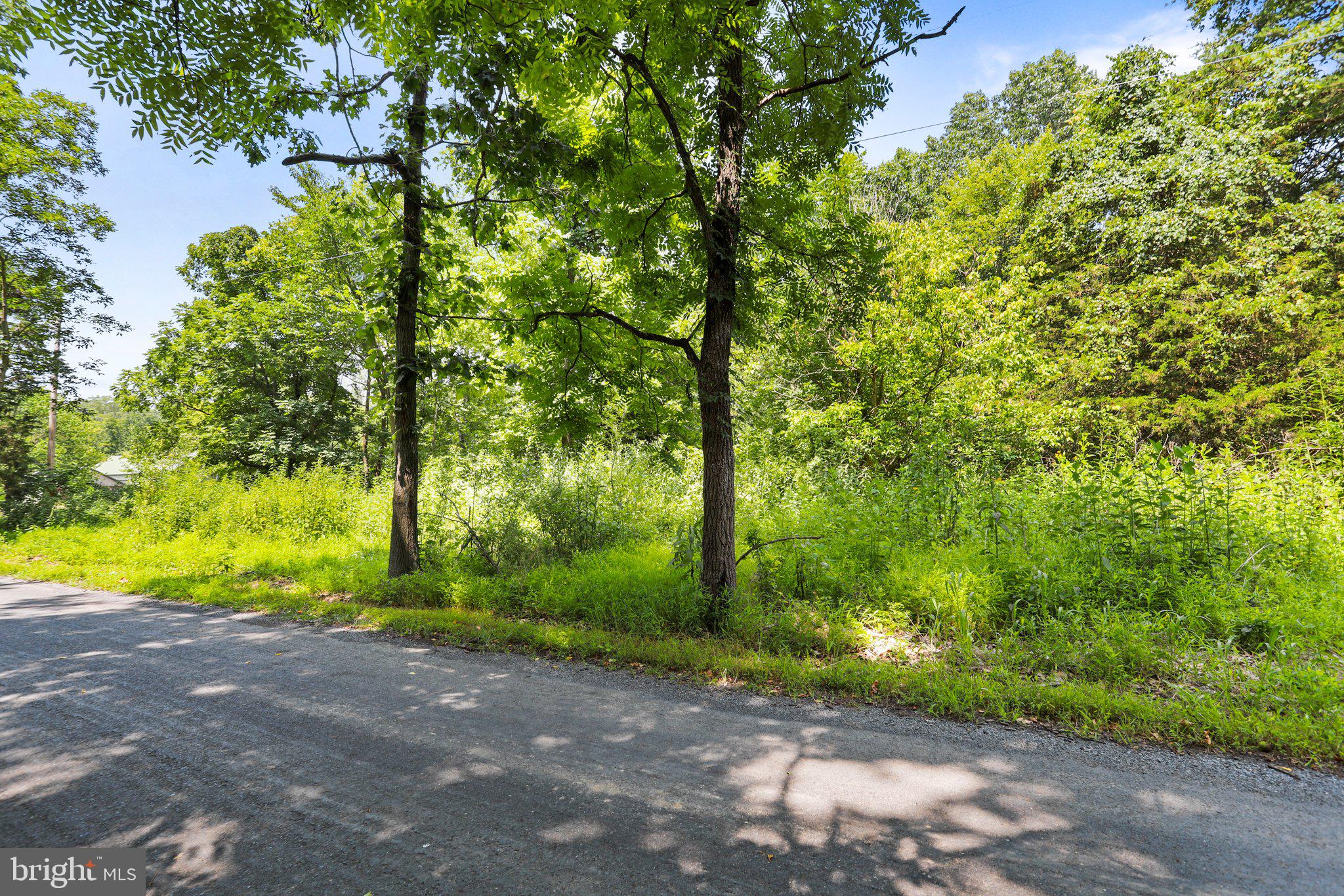 Artz Road Woodstock, VA 22664 - Photo 14 of 38