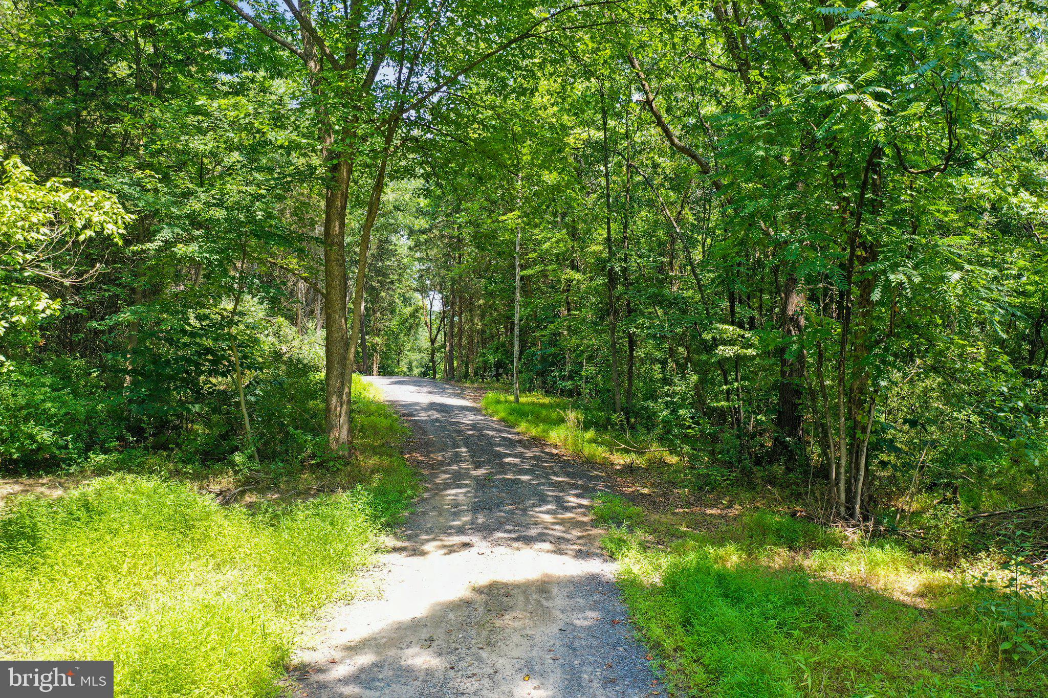 Artz Road Woodstock, VA 22664 - Photo 15 of 38