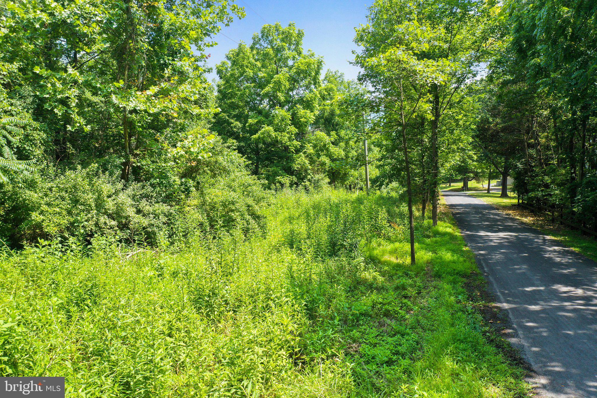 Artz Road Woodstock, VA 22664 - Photo 16 of 38