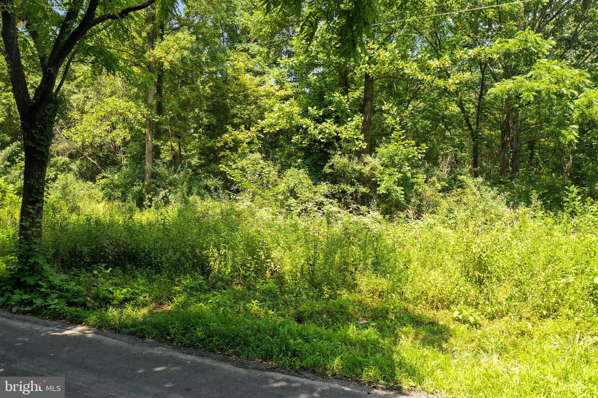 Artz Road Woodstock, VA 22664 - Photo 17 of 38