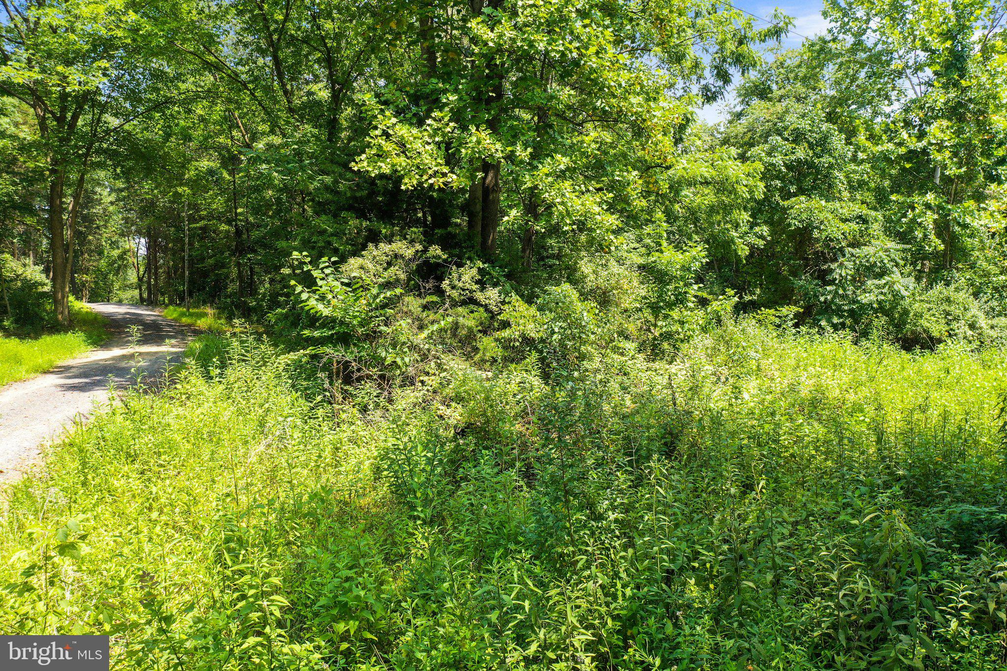 Artz Road Woodstock, VA 22664 - Photo 18 of 38