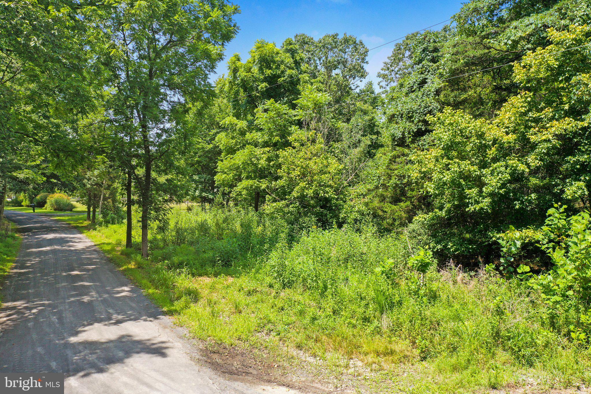 Artz Road Woodstock, VA 22664 - Photo 19 of 38