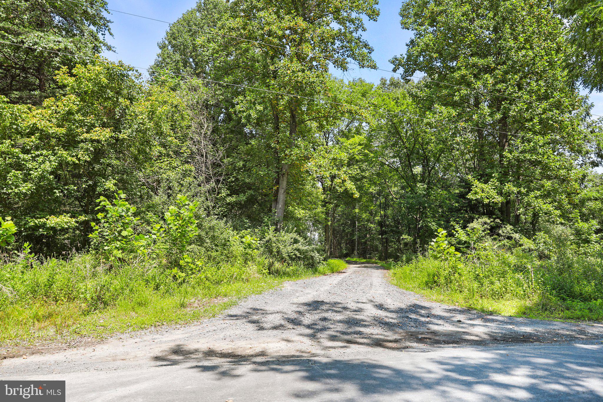 Artz Road Woodstock, VA 22664 - Photo 2 of 38