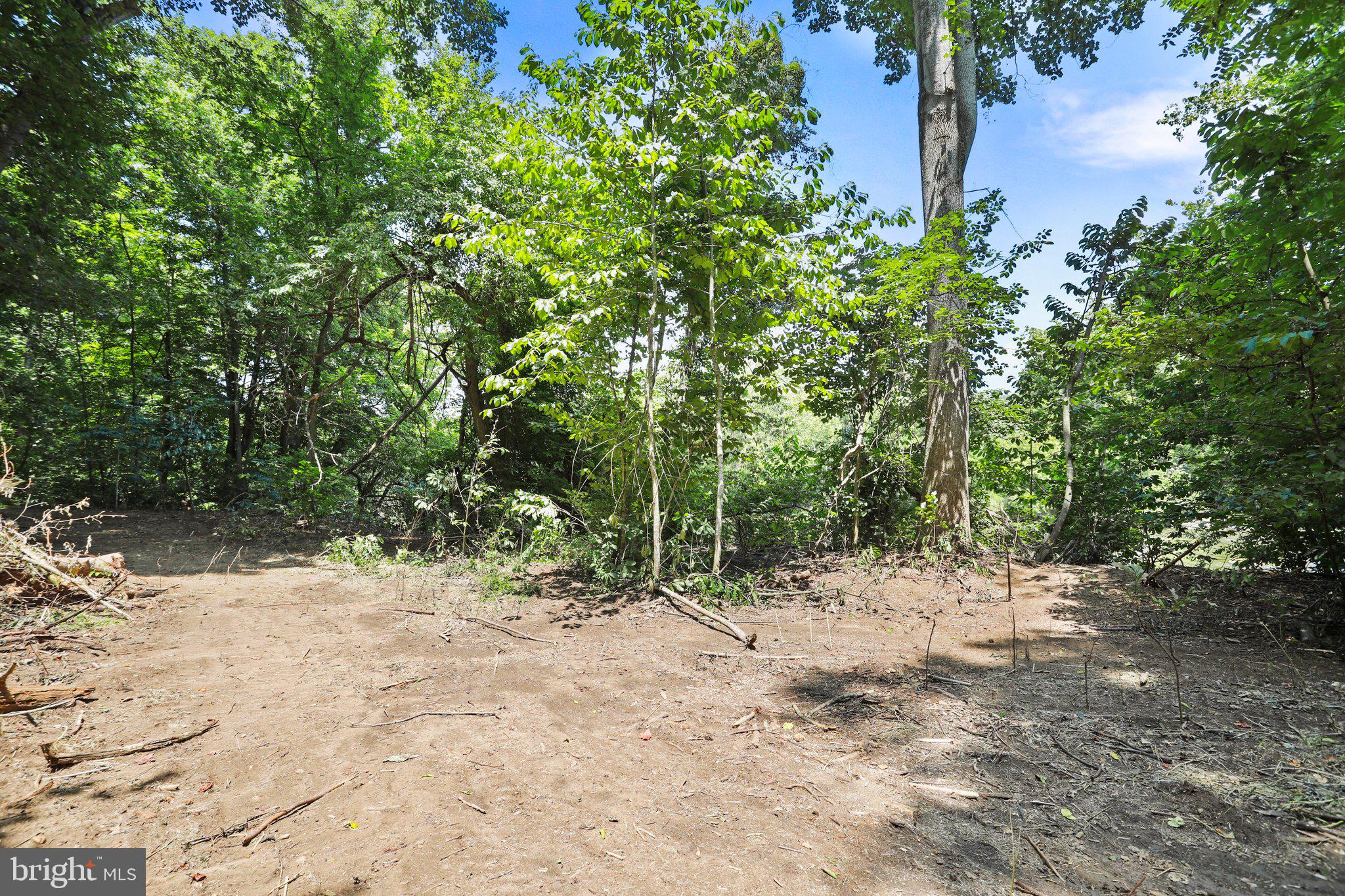 Artz Road Woodstock, VA 22664 - Photo 3 of 38