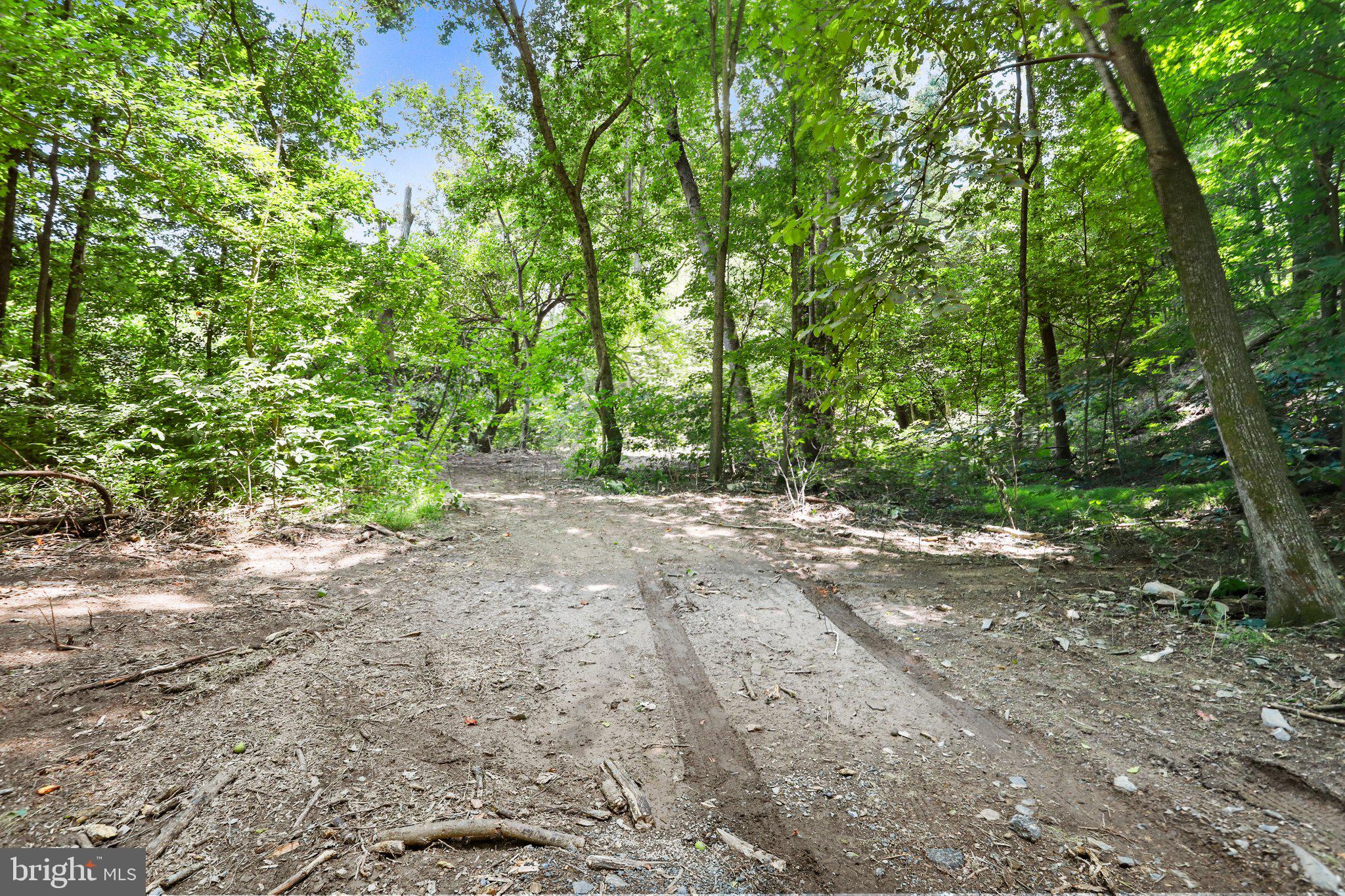 Artz Road Woodstock, VA 22664 - Photo 5 of 38