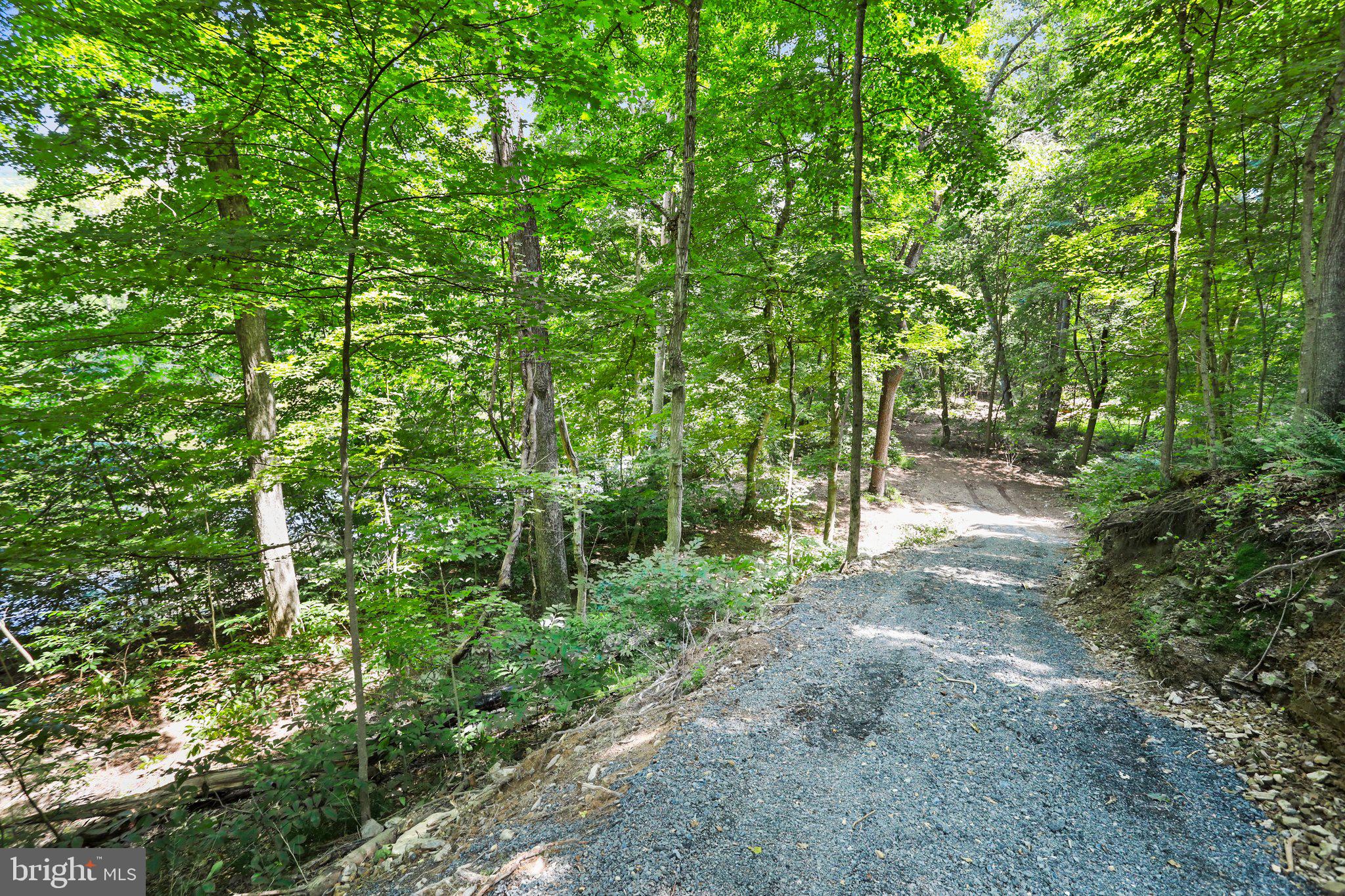 Artz Road Woodstock, VA 22664 - Photo 6 of 38