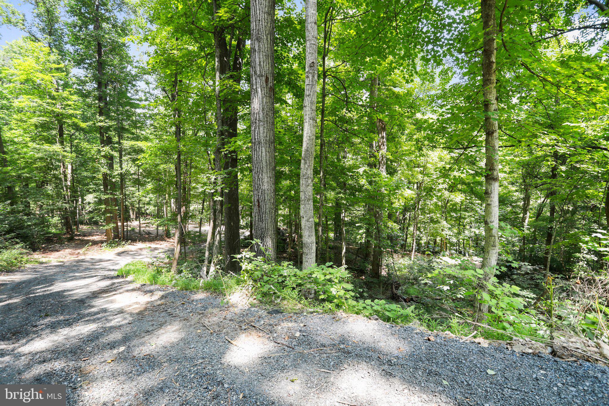 Artz Road Woodstock, VA 22664 - Photo 7 of 38