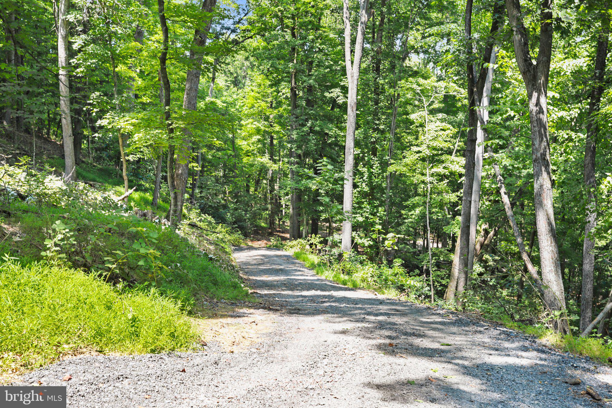 Artz Road Woodstock, VA 22664 - Photo 8 of 38