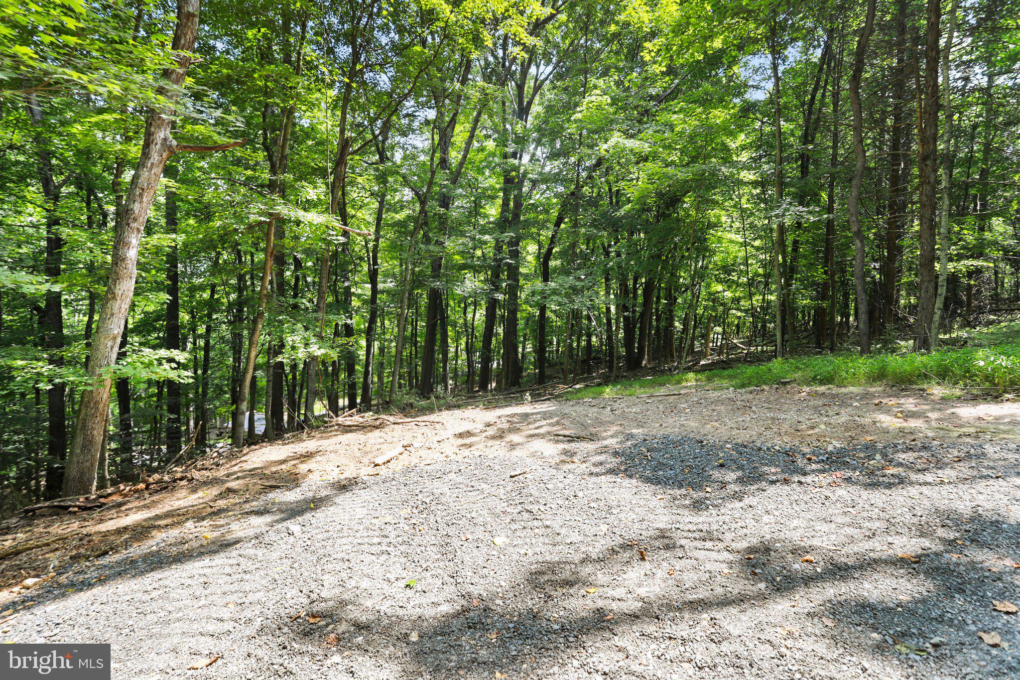 Artz Road Woodstock, VA 22664 - Photo 9 of 38