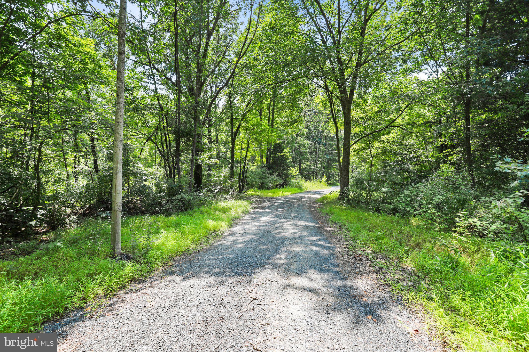 Artz Road Woodstock, VA 22664 - Photo 10 of 38