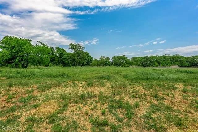 179 Ranchtown Road Elm Grove, LA 71051 - Photo 17 of 26 Expansive open land featuring a combination of green grass and drier patches, bordered by mature trees