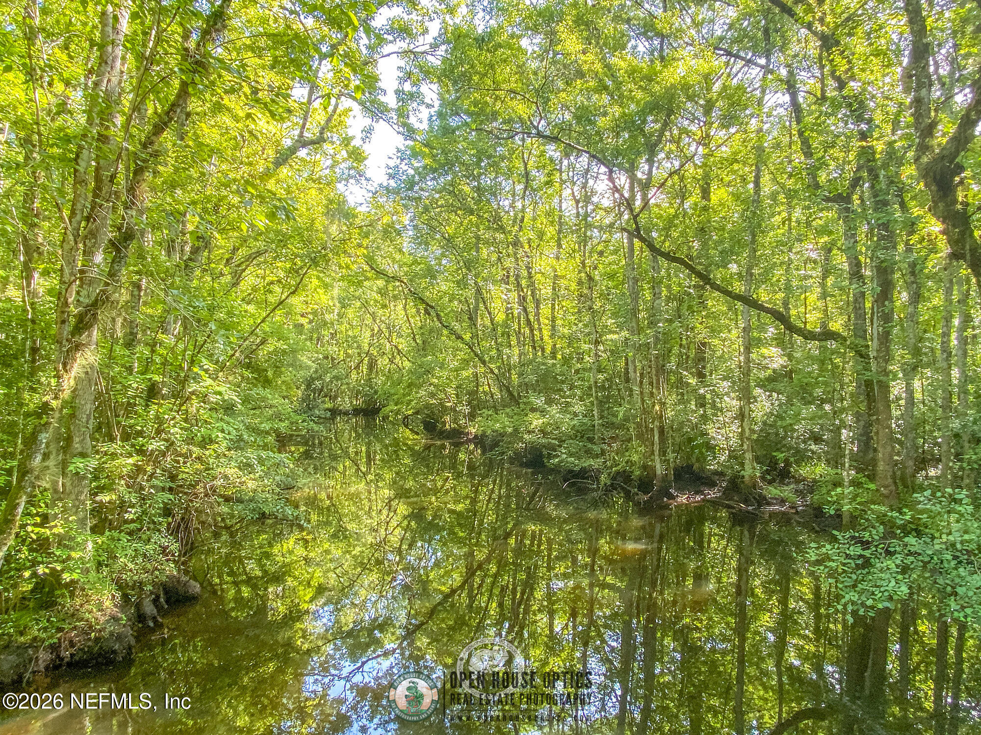 237 Windswept Way Street St. Augustine, FL 32092 - Photo 135 of 136 OHO Amenities Library - Shearwater (87)