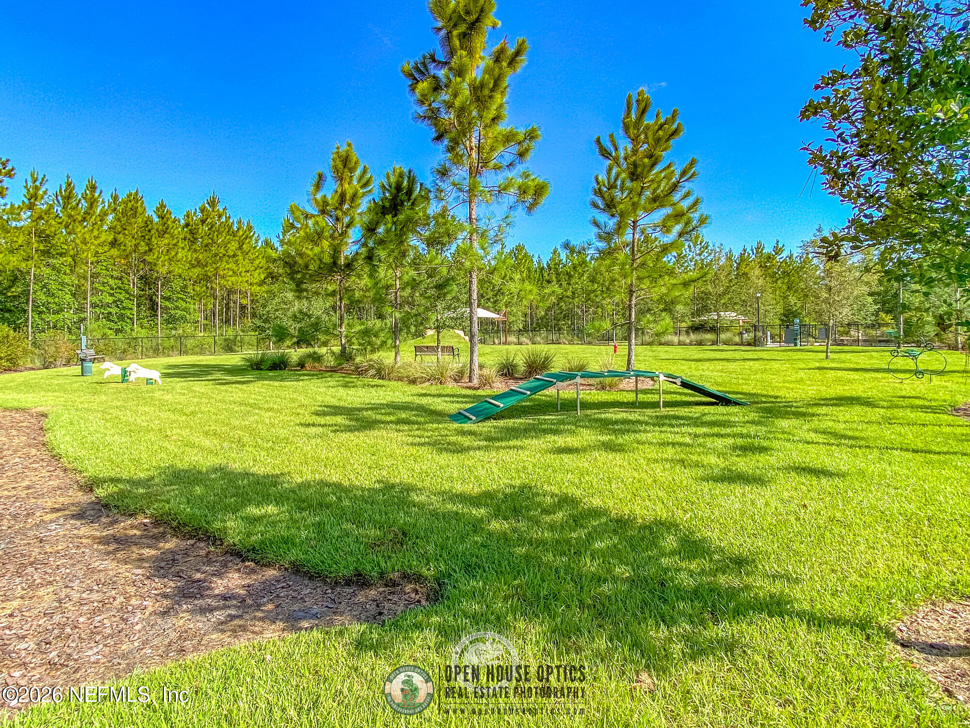 237 Windswept Way Street St. Augustine, FL 32092 - Photo 94 of 136 a view of a park with a tree in the background