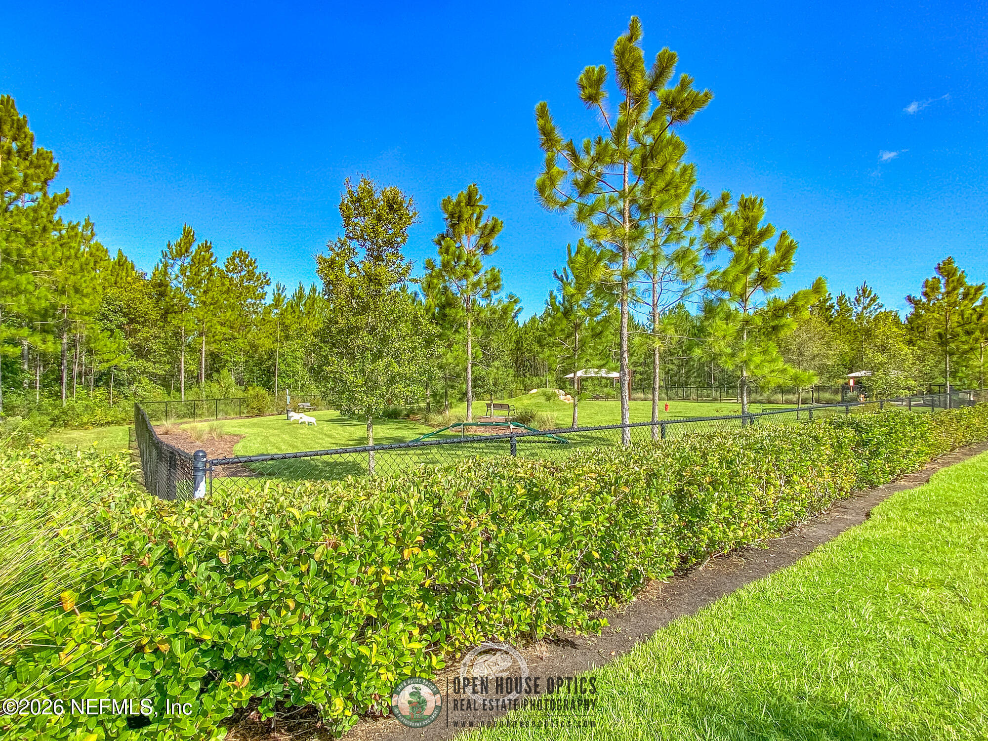 237 Windswept Way Street St. Augustine, FL 32092 - Photo 95 of 136 a view of a garden with a tree