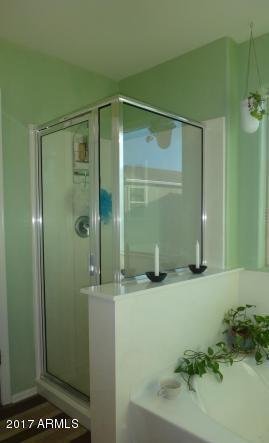 11026 West Elm Street Phoenix, AZ 85037 - Photo 15 of 20 a bathroom with a shower and a sink