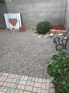 11026 West Elm Street Phoenix, AZ 85037 - Photo 18 of 20 a view of a backyard with plants