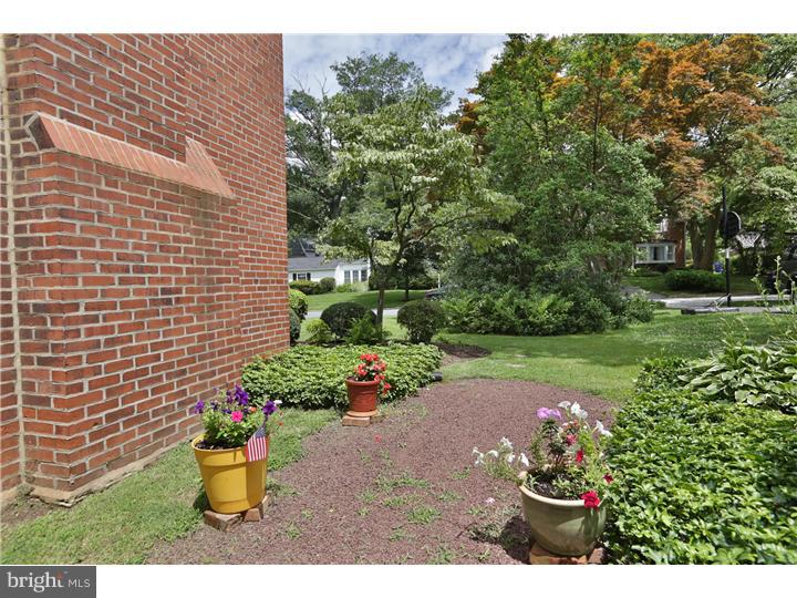 17 West Chelfield Road Glenside, PA 19038 - Photo 24 of 25 Gallery Image 24