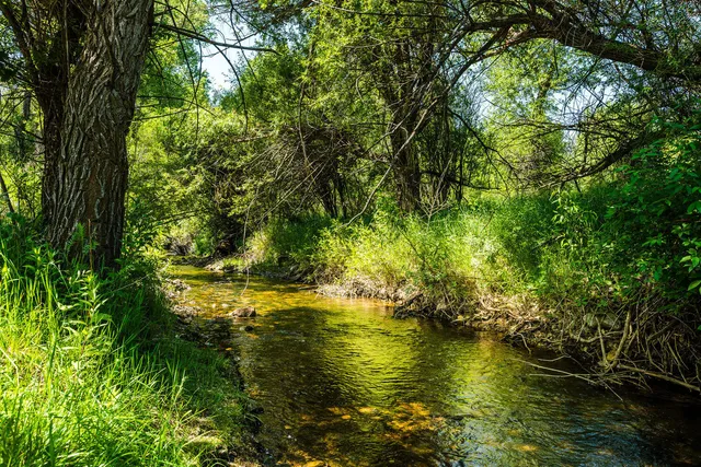 $1,095,000 | 716 Bridge Street, Dayton, WY 82836