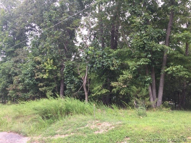 933 Round Table Drive Camdenton, MO 65020 - Photo 2 of 15 Amenities included