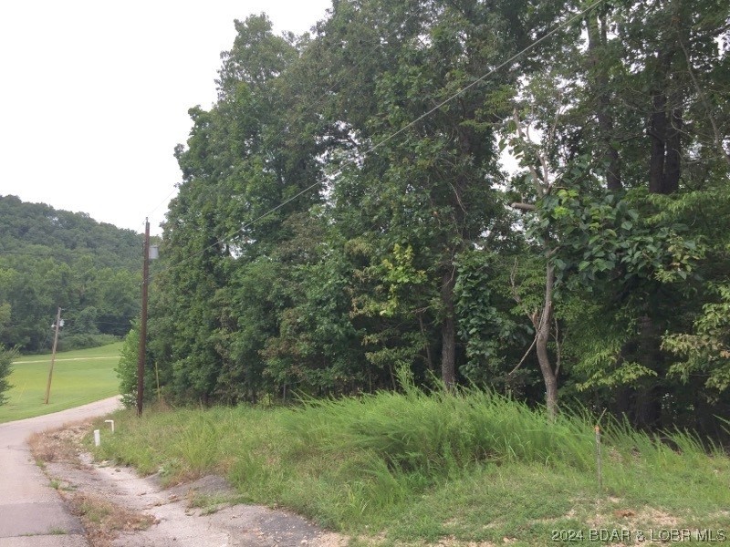 933 Round Table Drive Camdenton, MO 65020 - Photo 3 of 15 Paved Roads
