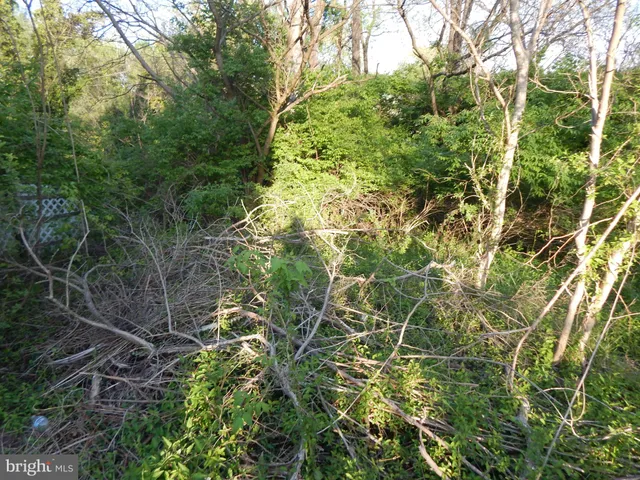 $35,000 | Lot 93 Siebert Street, Martinsburg, WV 25404