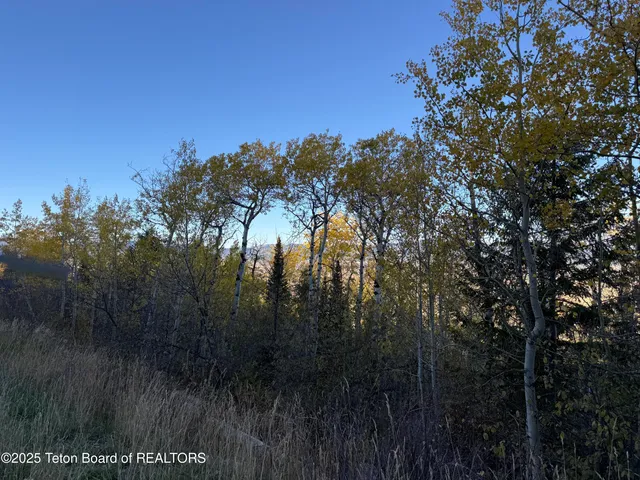 $400,000 | 2880 Sorensen Creek Drive, Victor, ID 83455