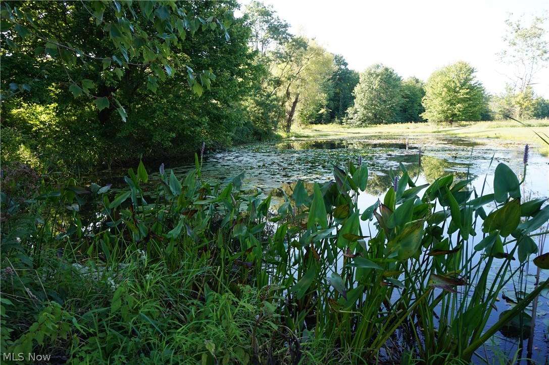 6019 New London Road Ashtabula, OH 44004 - Photo 34 of 47 One of 2 stocked ponds.