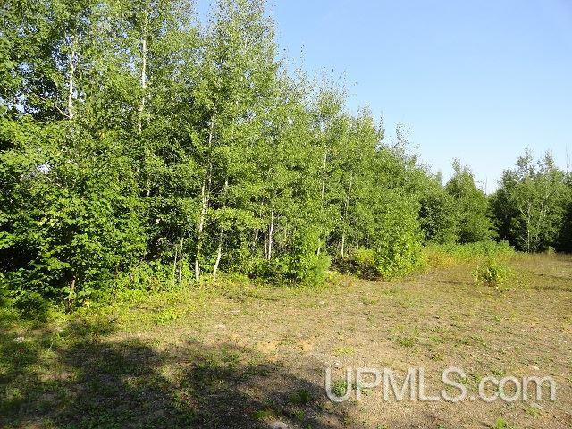 40 Grant Lake Road Champion, MI 49814 - Photo 6 of 13