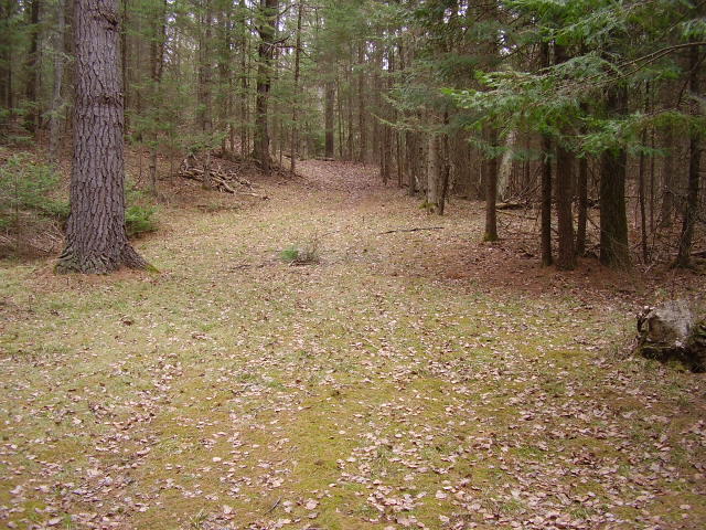 4143 Kneeland Road Lewiston, MI 49756 - Photo 17 of 24 Gallery Image 17