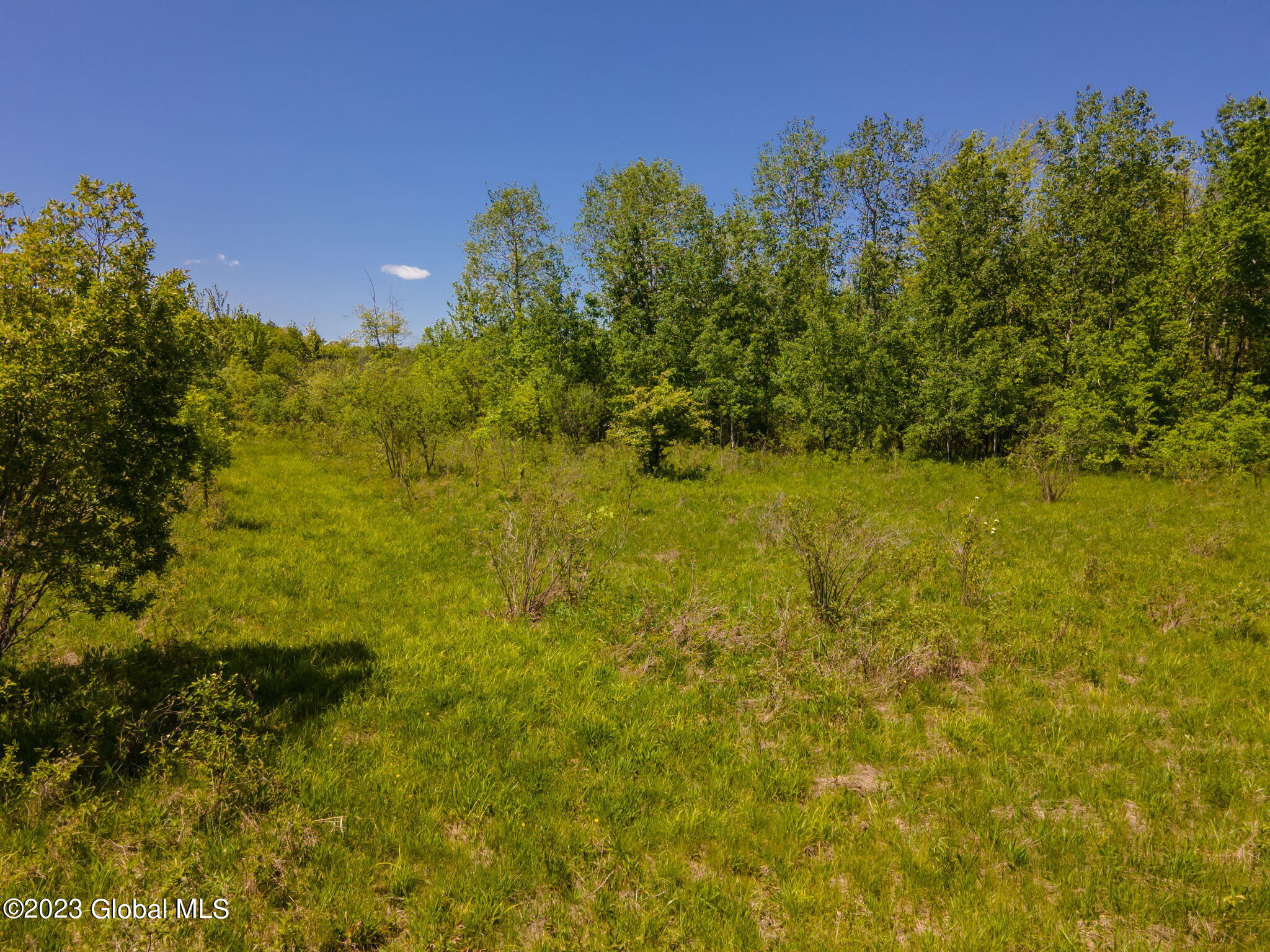 229 Lawton Road Howes Cave, NY 12092 - Photo 3 of 11 7-web-or-mls-229LawtonRd-7