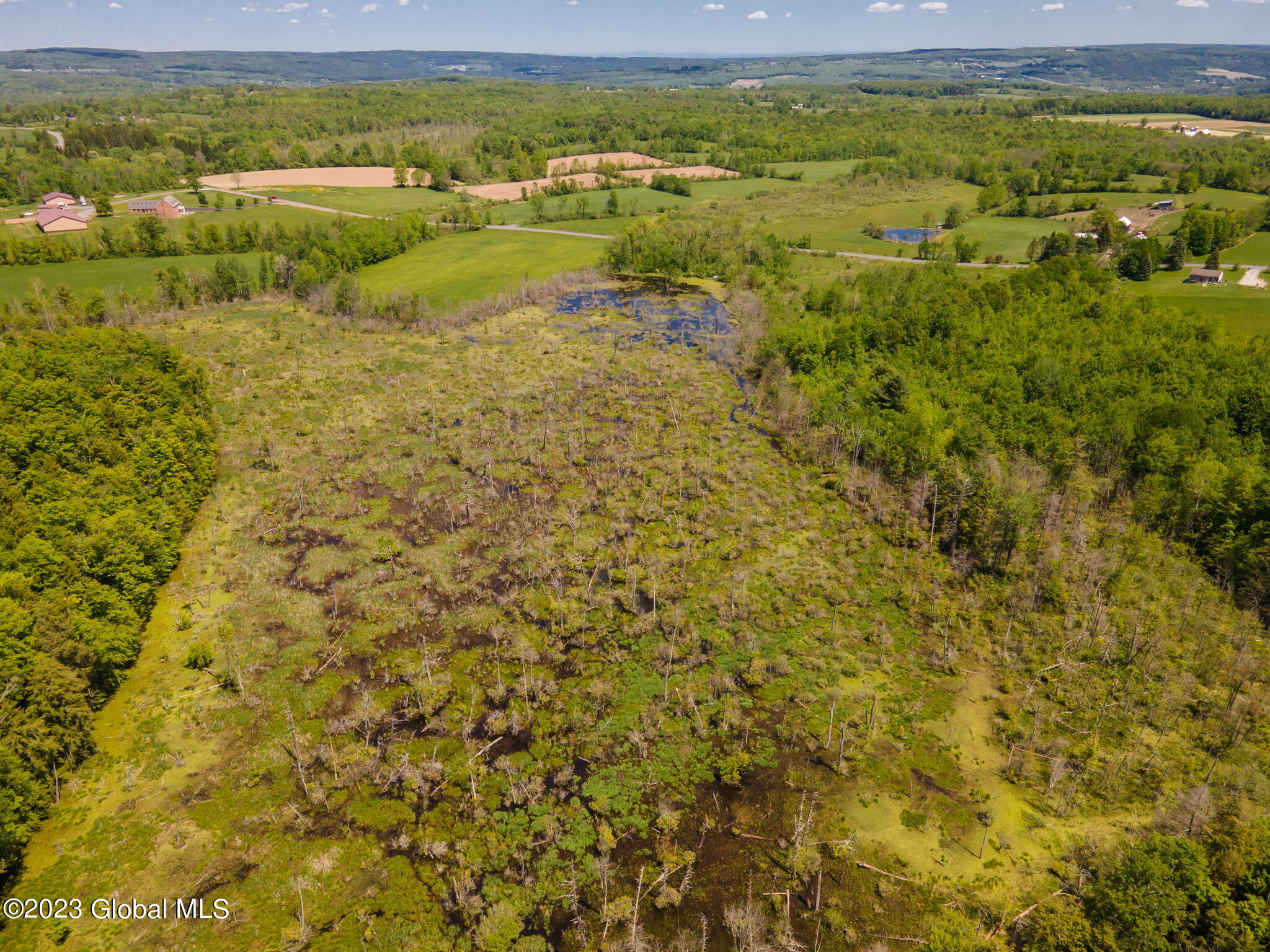 229 Lawton Road Howes Cave, NY 12092 - Photo 6 of 11 4-web-or-mls-229LawtonRd-4