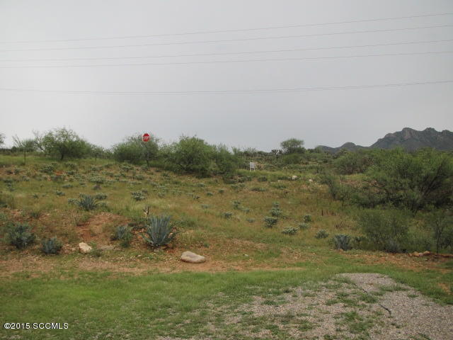 1171 Circulo Golfo Rio Rico, AZ 85648 - Photo 15 of 17 a view of a field of grass and trees
