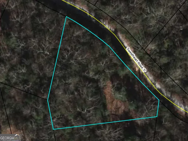 a view of outdoor space