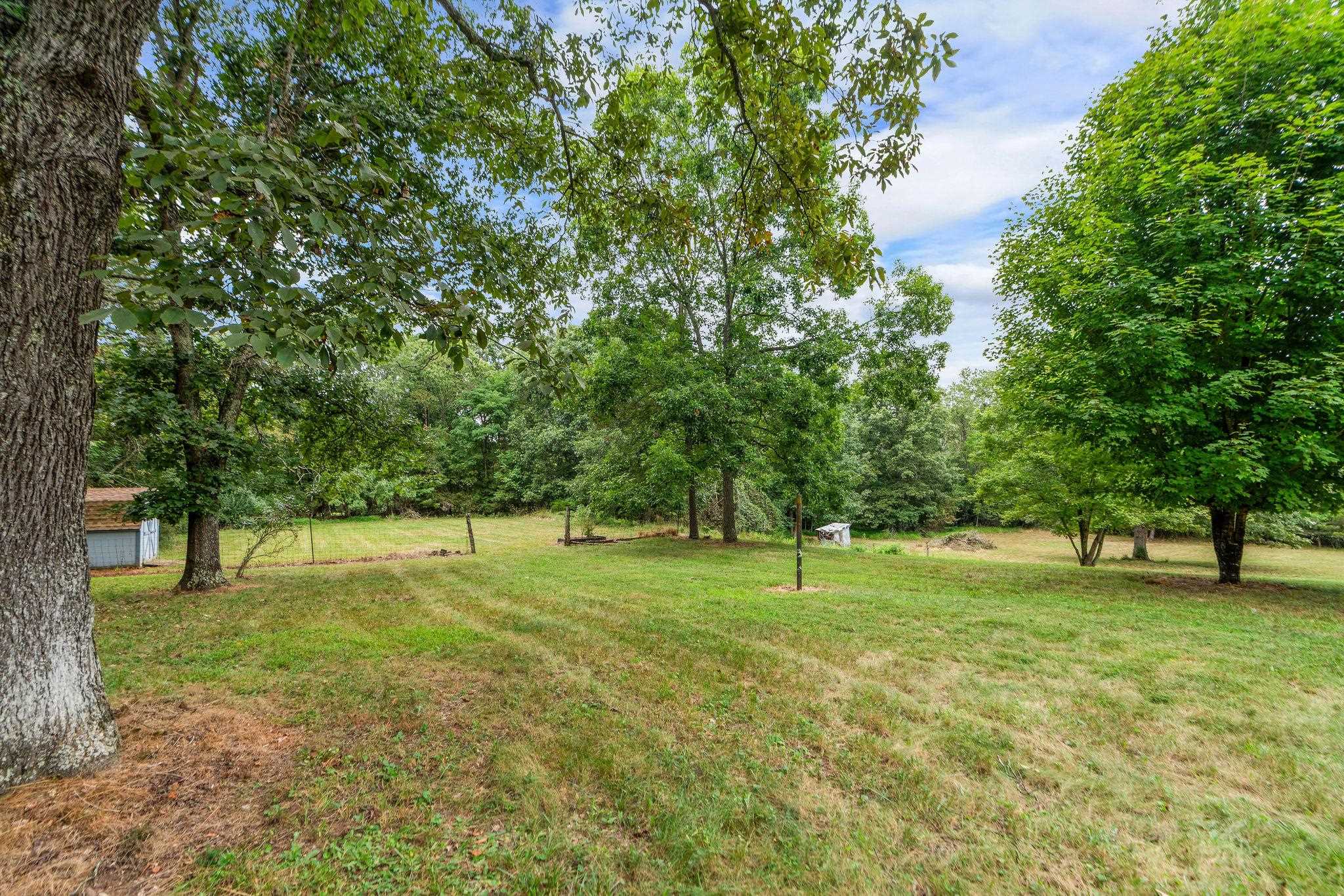 5264 Cold Springs Road Raphine, VA 24472 - Photo 50 of 57 a view of field with trees in the background