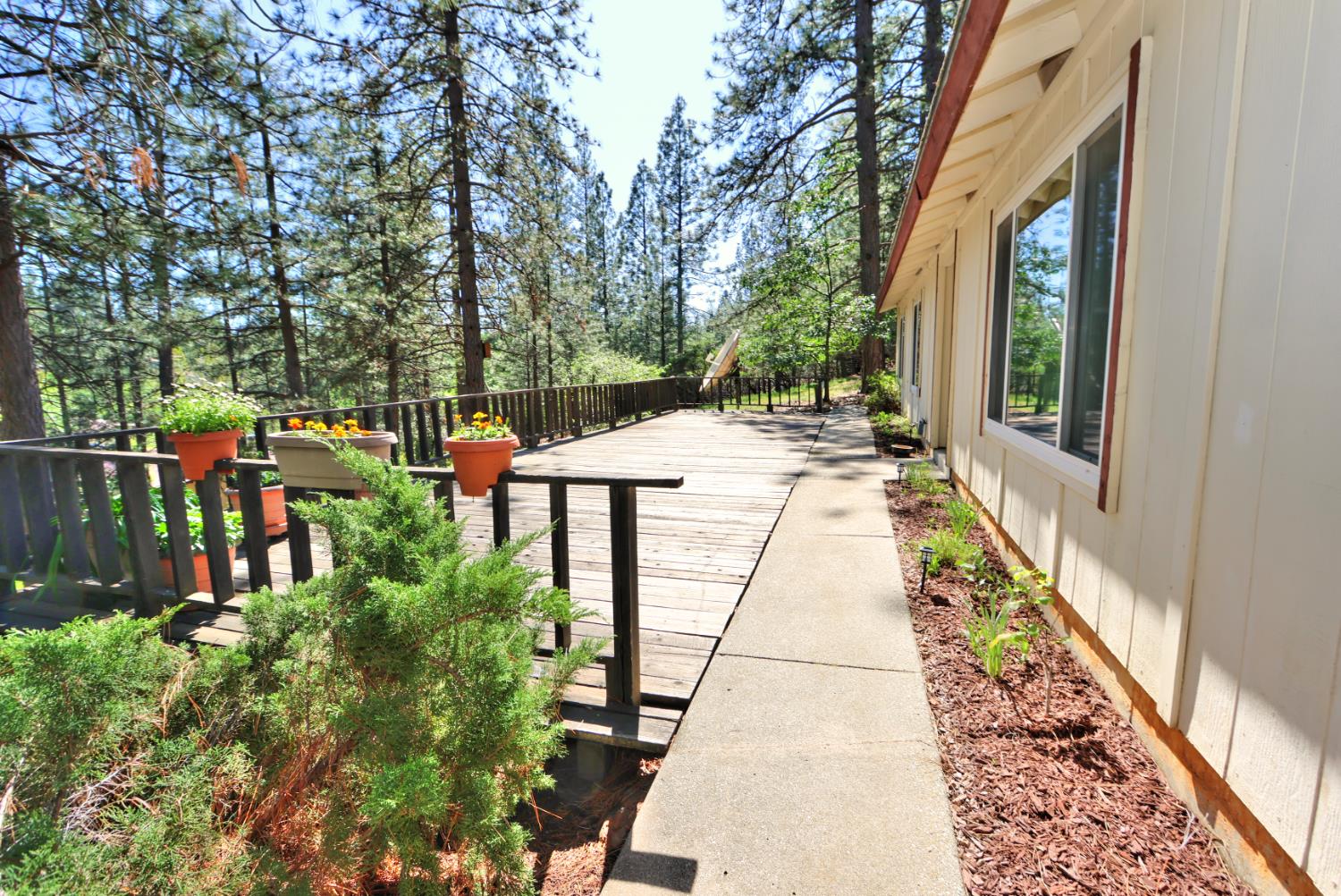 21495 Snooks Road Colfax, CA 95713 - Photo 4 of 66