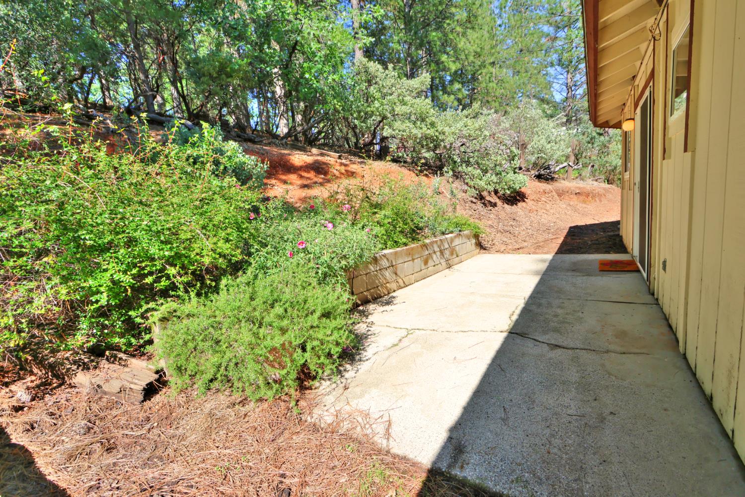 21495 Snooks Road Colfax, CA 95713 - Photo 46 of 66