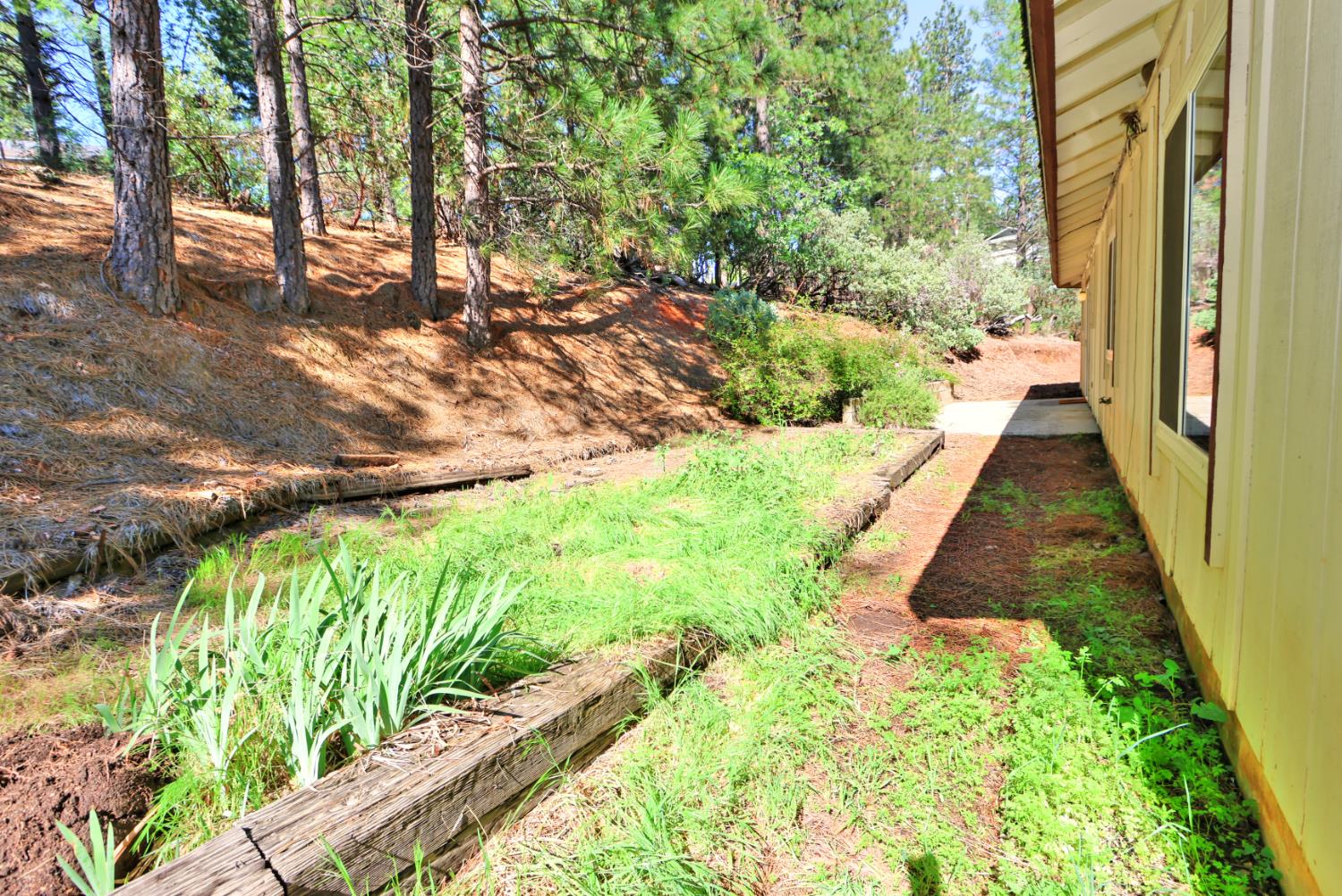 21495 Snooks Road Colfax, CA 95713 - Photo 47 of 66