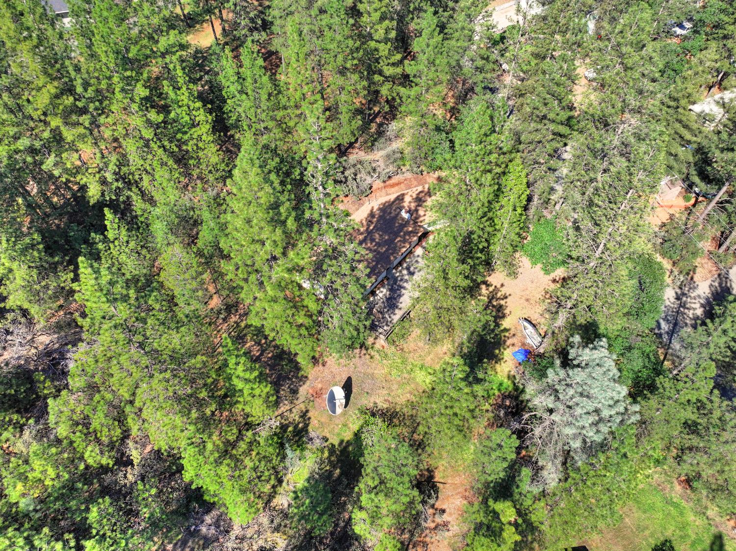 21495 Snooks Road Colfax, CA 95713 - Photo 64 of 66