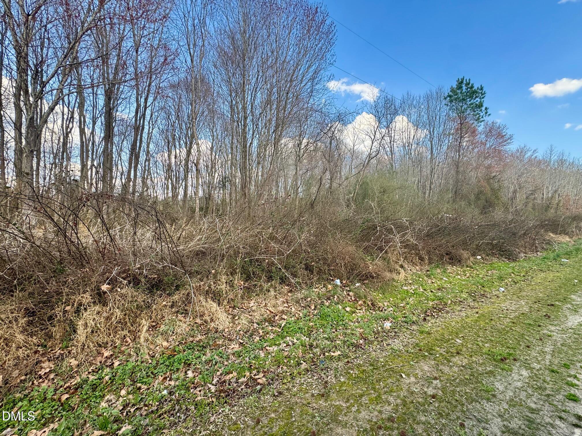 0 Weldons Mill Road Henderson, NC 27537 - Photo 2 of 5 IMG_5324