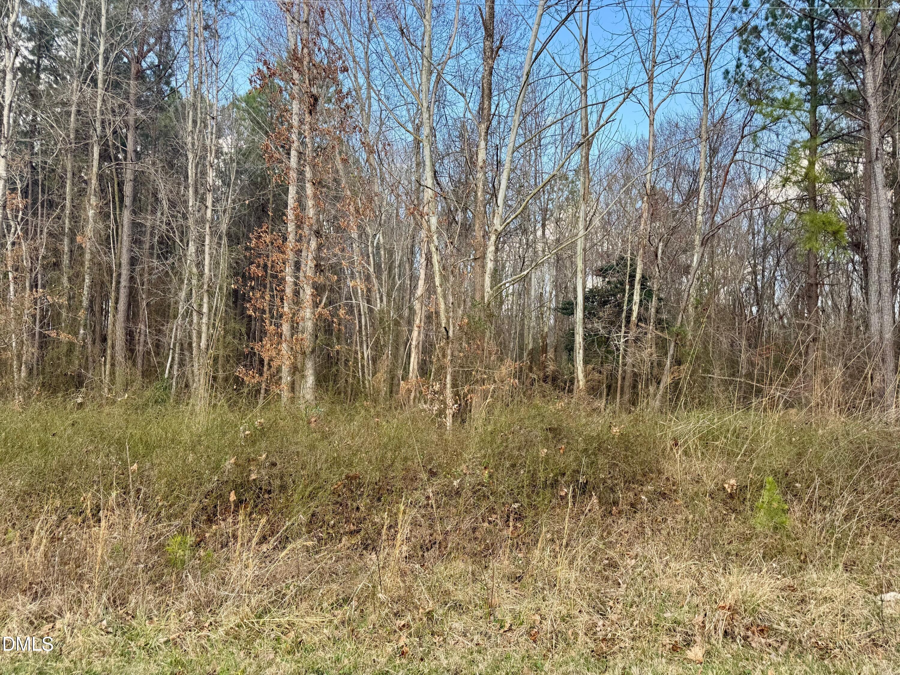 0 Weldons Mill Road Henderson, NC 27537 - Photo 3 of 5 IMG_5321