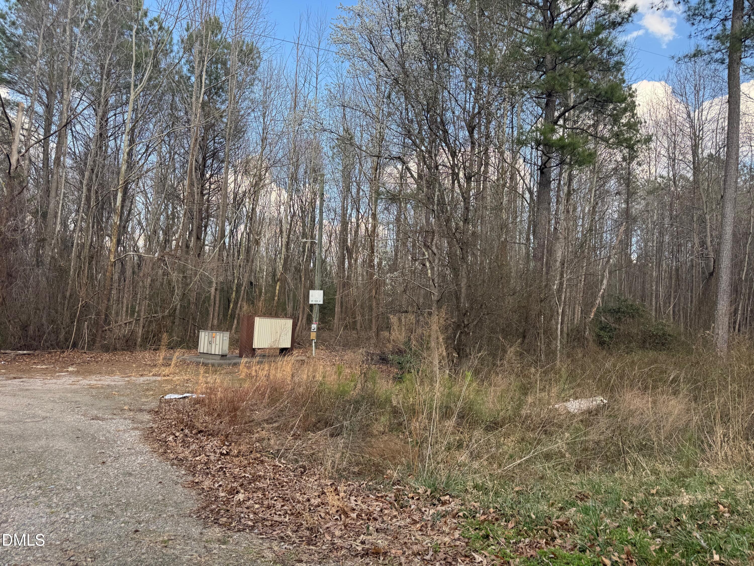 0 Weldons Mill Road Henderson, NC 27537 - Photo 5 of 5 IMG_5317