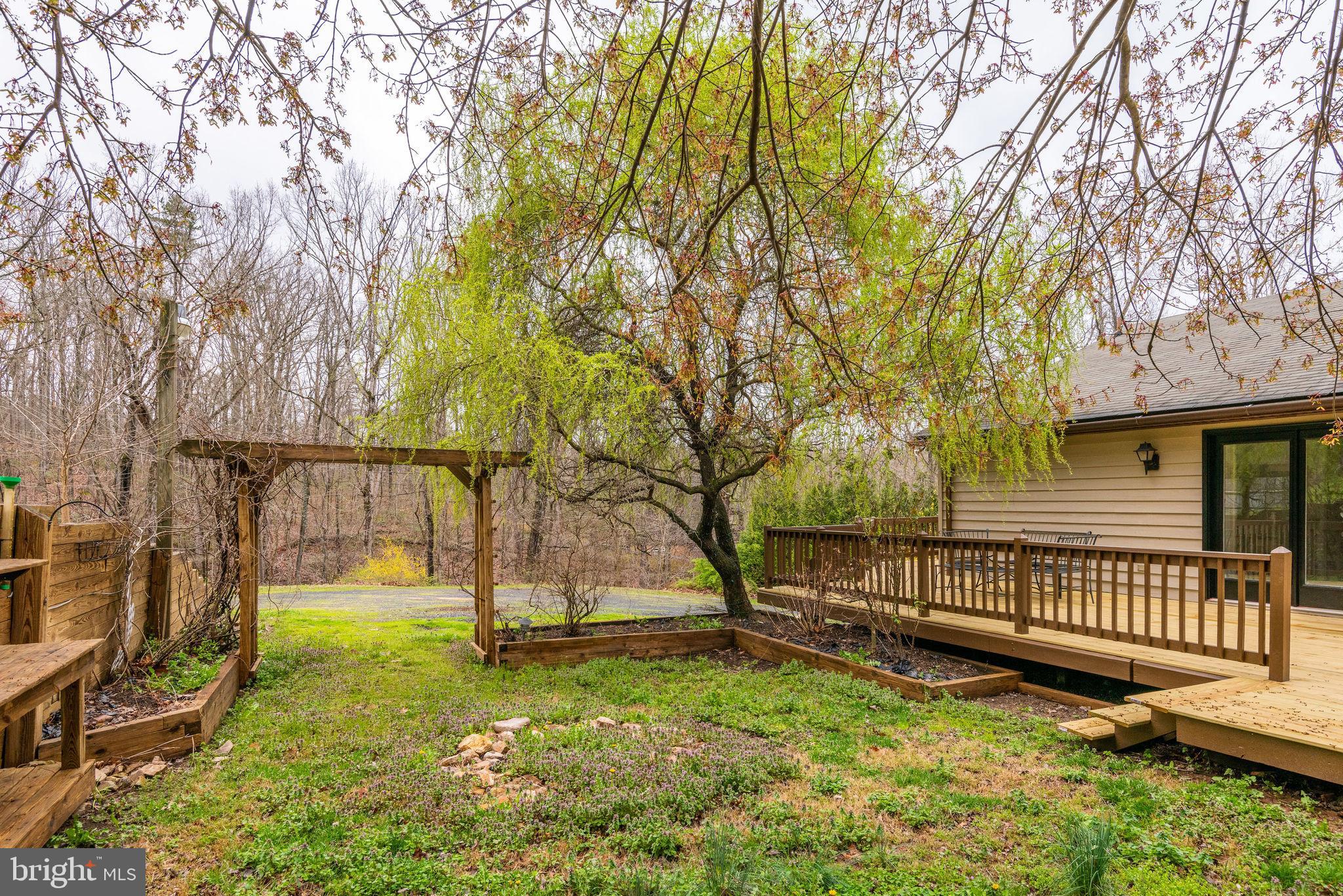 4014 Howellsville Road Front Royal, VA 22630 - Photo 29 of 37