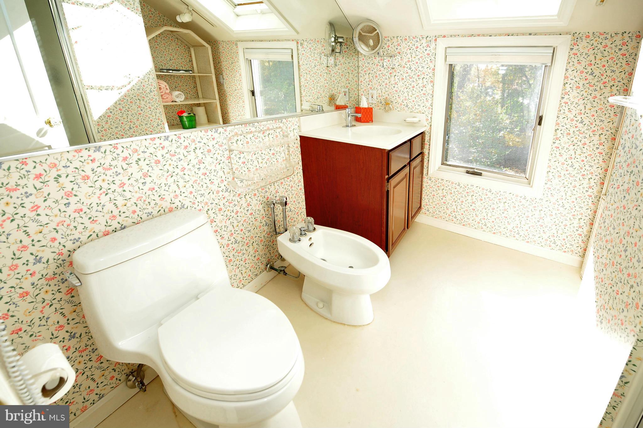 3310 Jones Bridge Road Chevy Chase, MD 20815 - Photo 14 of 21 Upstairs bath w/skylight