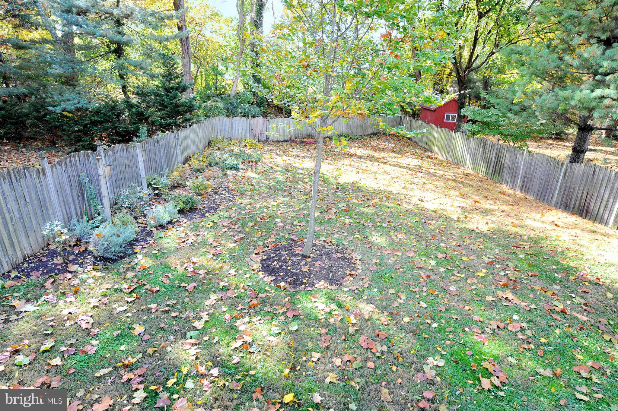 3310 Jones Bridge Road Chevy Chase, MD 20815 - Photo 20 of 21 Large, flat back yard