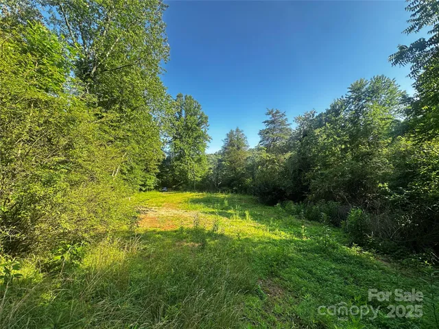 a view of backyard with green space