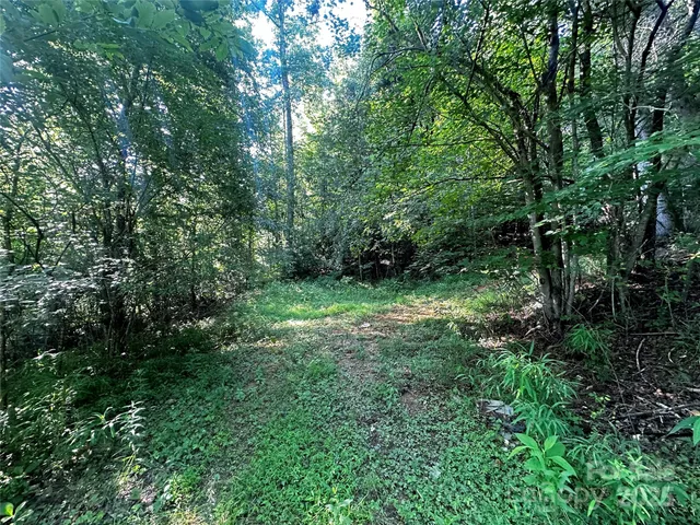 a view of outdoor space with trees